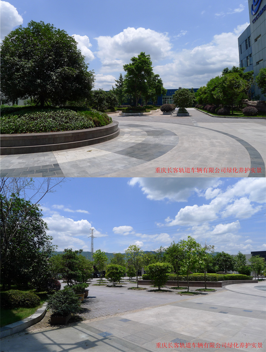 重慶長(zhǎng)客軌道車(chē)輛有限公司廠區(qū)綠化養(yǎng)護(hù)實(shí)景